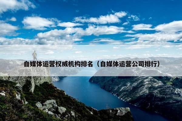 自媒体运营权威机构排名（自媒体运营公司排行）