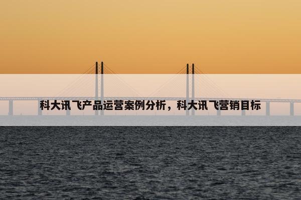 科大讯飞产品运营案例分析，科大讯飞营销目标