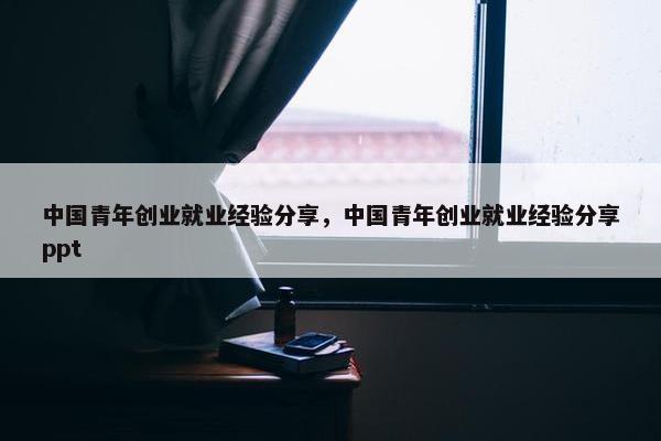 中国青年创业就业经验分享，中国青年创业就业经验分享ppt
