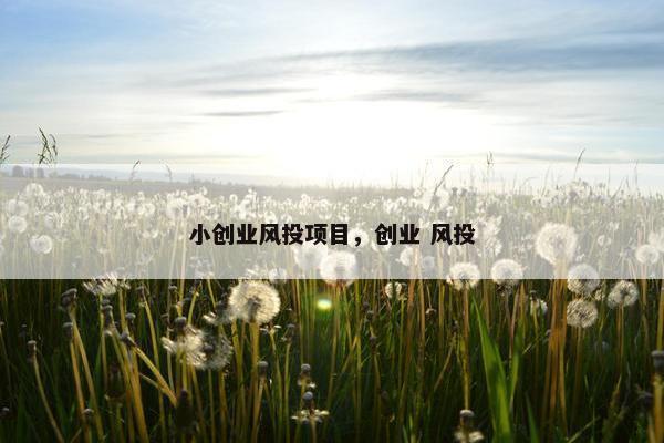 小创业风投项目，创业 风投