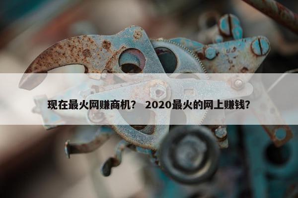 现在最火网赚商机？ 2020最火的网上赚钱？