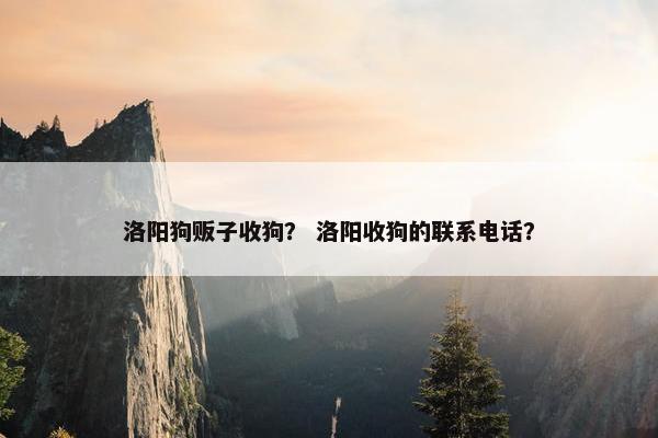 洛阳狗贩子收狗？ 洛阳收狗的联系电话？