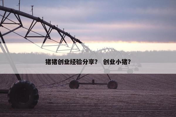 猪猪创业经验分享？ 创业小猪？