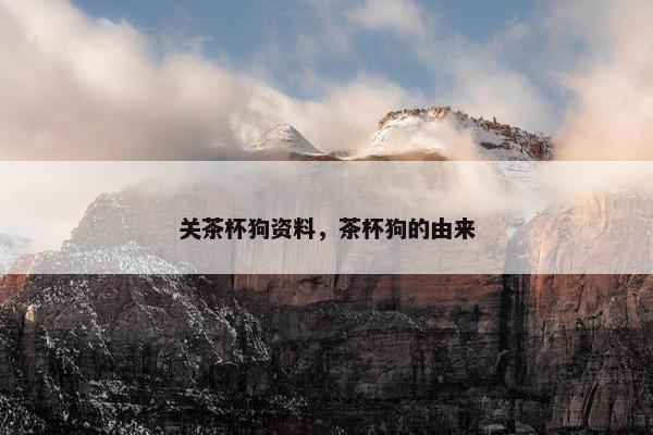 关茶杯狗资料，茶杯狗的由来
