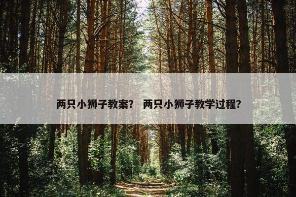 两只小狮子教案？ 两只小狮子教学过程？