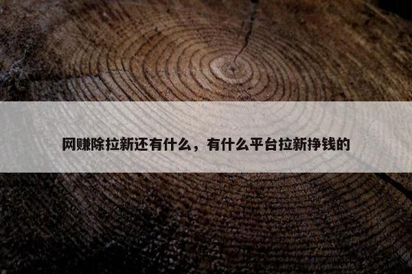 网赚除拉新还有什么，有什么平台拉新挣钱的