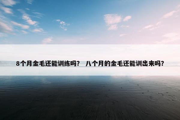 8个月金毛还能训练吗？ 八个月的金毛还能训出来吗？