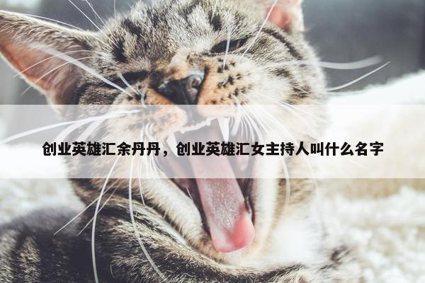 创业英雄汇余丹丹，创业英雄汇女主持人叫什么名字