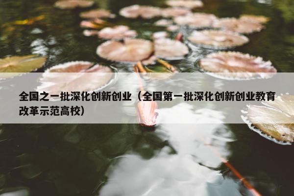 全国之一批深化创新创业（全国第一批深化创新创业教育改革示范高校）