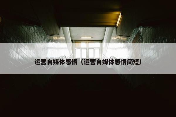 运营自媒体感悟（运营自媒体感悟简短）
