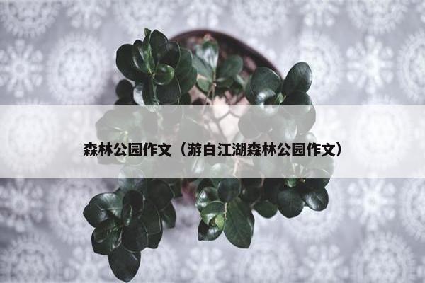 森林公园作文（游白江湖森林公园作文）