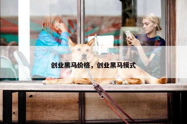 创业黑马价格，创业黑马模式