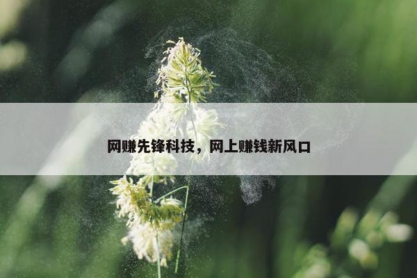 网赚先锋科技，网上赚钱新风口