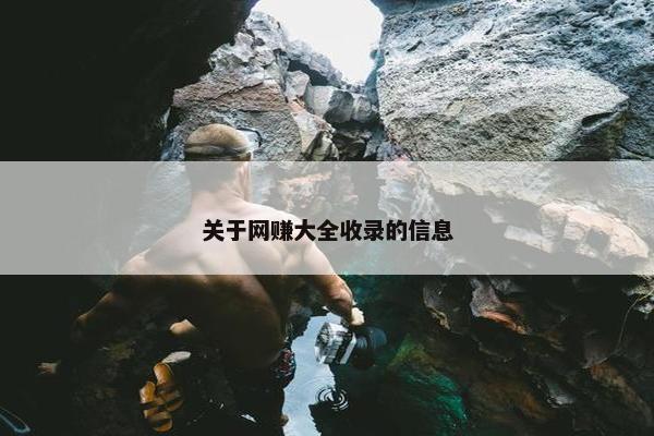 关于网赚大全收录的信息