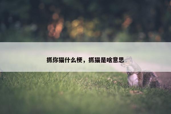 抓你猫什么梗，抓猫是啥意思
