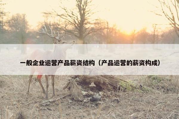 一般企业运营产品薪资结构（产品运营的薪资构成）