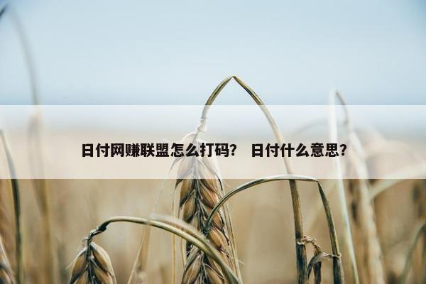 日付网赚联盟怎么打码？ 日付什么意思？