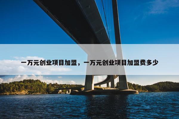 一万元创业项目加盟，一万元创业项目加盟费多少