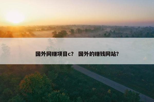 国外网赚项目c？ 国外的赚钱网站？