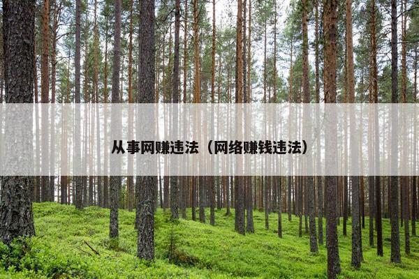 从事网赚违法（网络赚钱违法）