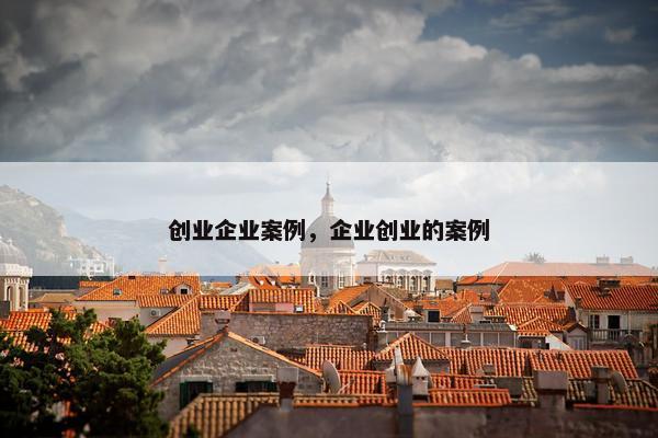 创业企业案例，企业创业的案例