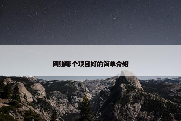 网赚哪个项目好的简单介绍
