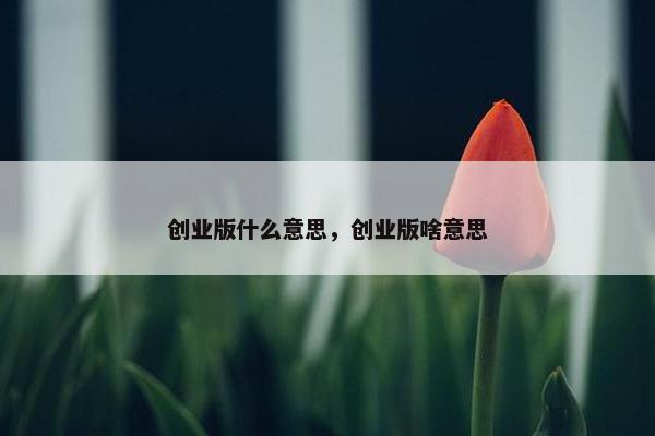 创业版什么意思，创业版啥意思
