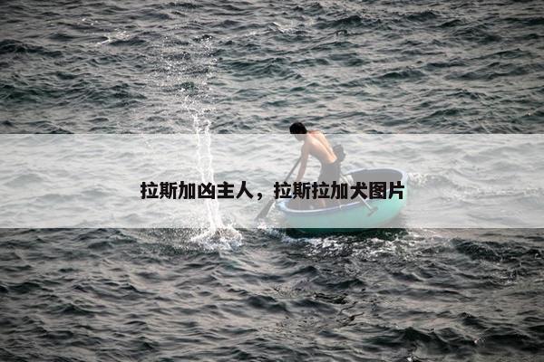 拉斯加凶主人，拉斯拉加犬图片