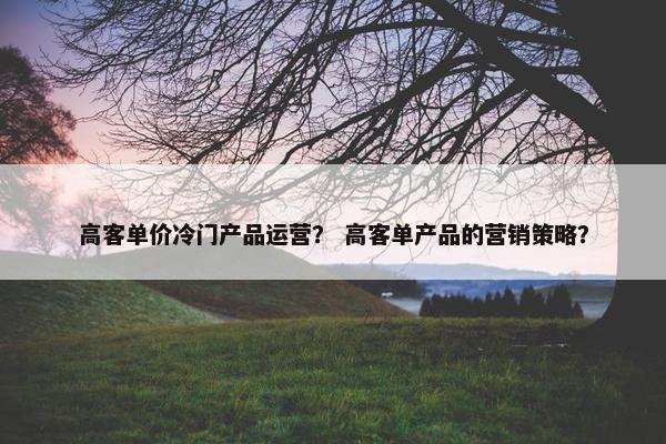 高客单价冷门产品运营？ 高客单产品的营销策略？