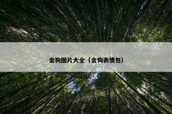 金狗图片大全（金狗表情包）