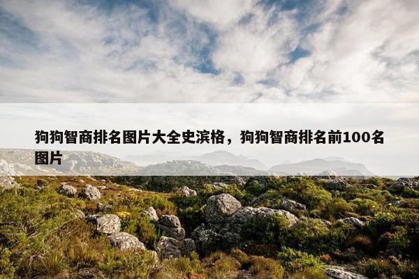 狗狗智商排名图片大全史滨格，狗狗智商排名前100名图片