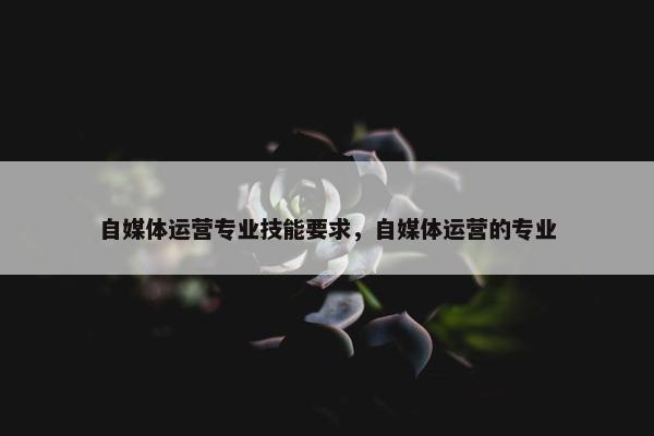 自媒体运营专业技能要求，自媒体运营的专业