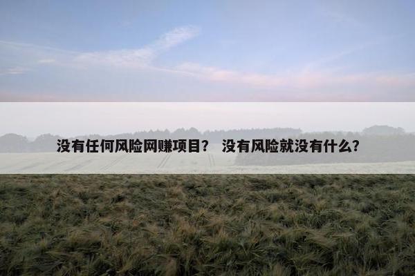 没有任何风险网赚项目？ 没有风险就没有什么？