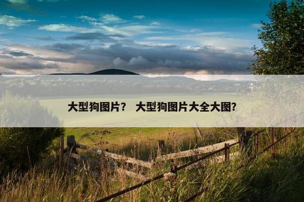 大型狗图片？ 大型狗图片大全大图？