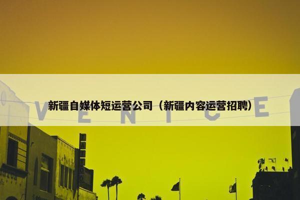 新疆自媒体短运营公司（新疆内容运营招聘）