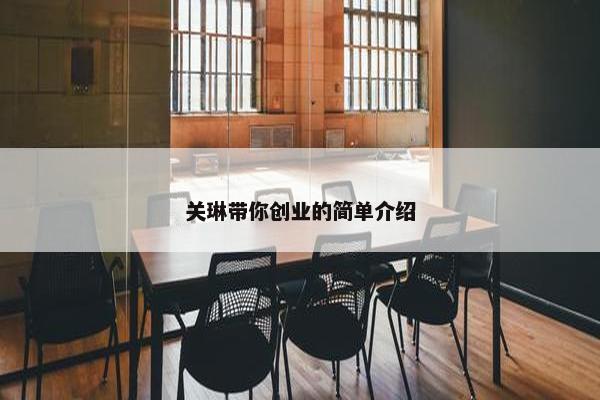 关琳带你创业的简单介绍