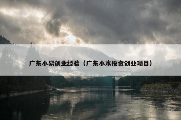 广东小易创业经验（广东小本投资创业项目）