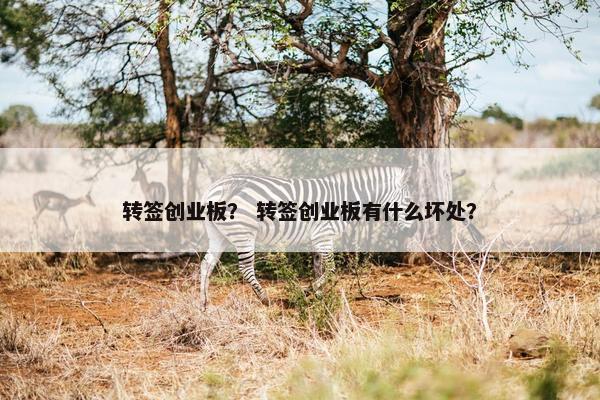 转签创业板？ 转签创业板有什么坏处？