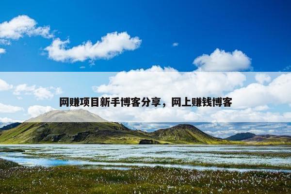 网赚项目新手博客分享，网上赚钱博客
