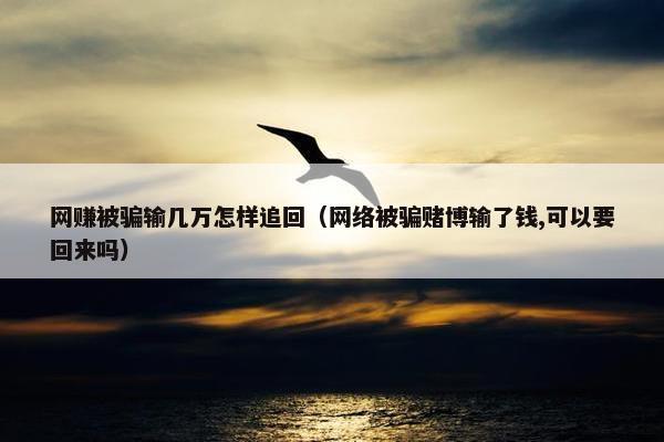 网赚被骗输几万怎样追回（网络被骗赌博输了钱,可以要回来吗）