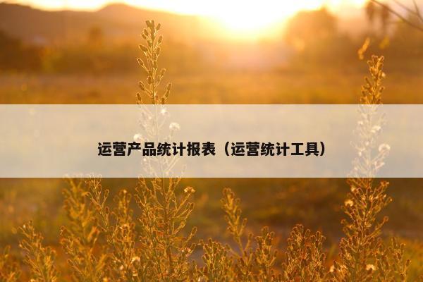 运营产品统计报表（运营统计工具）