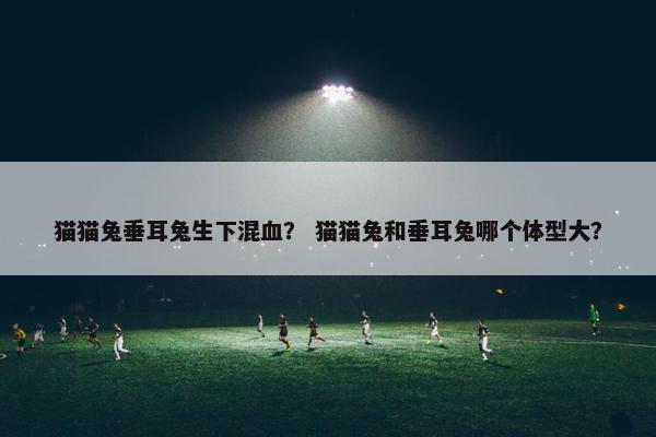 猫猫兔垂耳兔生下混血？ 猫猫兔和垂耳兔哪个体型大？