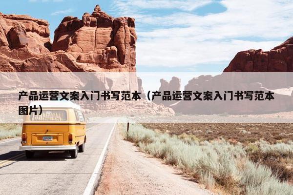 产品运营文案入门书写范本（产品运营文案入门书写范本图片）
