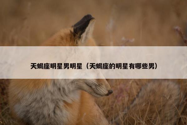 天蝎座明星男明星（天蝎座的明星有哪些男）