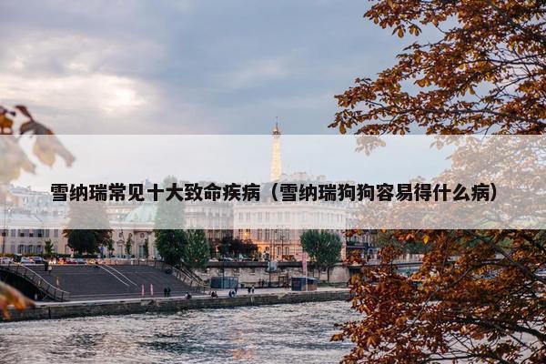 雪纳瑞常见十大致命疾病（雪纳瑞狗狗容易得什么病）