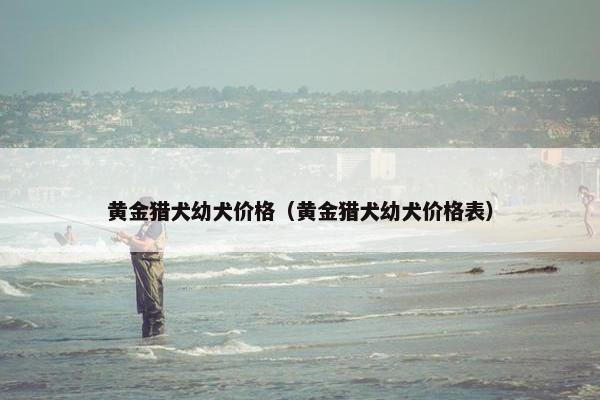 黄金猎犬幼犬价格（黄金猎犬幼犬价格表）