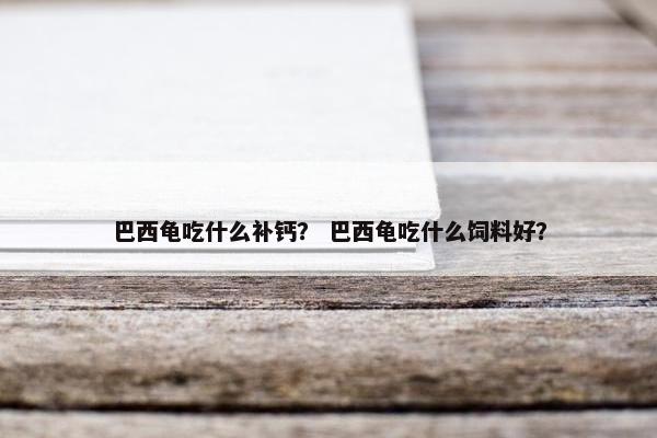 巴西龟吃什么补钙？ 巴西龟吃什么饲料好？