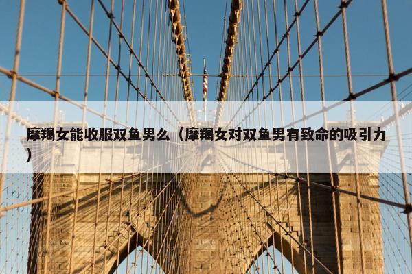 摩羯女能收服双鱼男么（摩羯女对双鱼男有致命的吸引力）