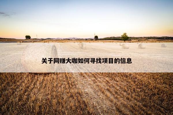 关于网赚大咖如何寻找项目的信息