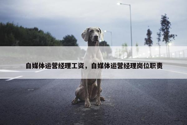 自媒体运营经理工资，自媒体运营经理岗位职责